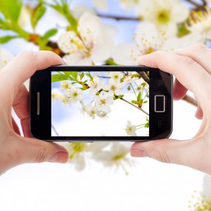 17293660 - an image of shooting photographs with mobile phone