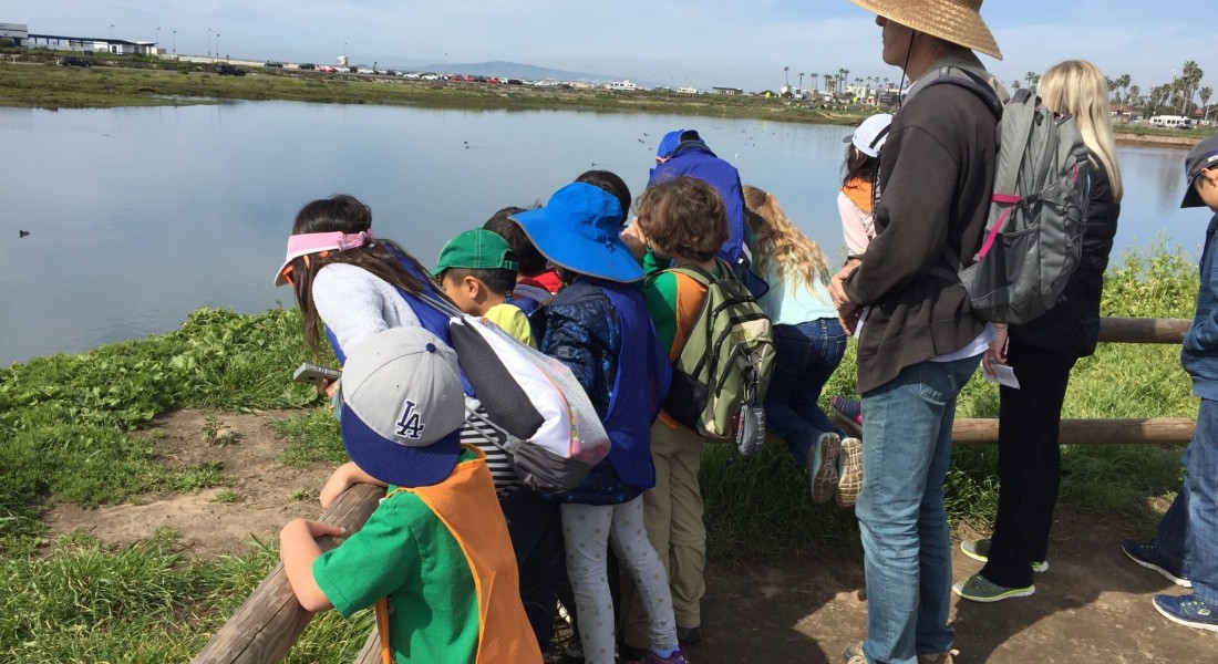 Bolsa Chica Conservatory Field Trip